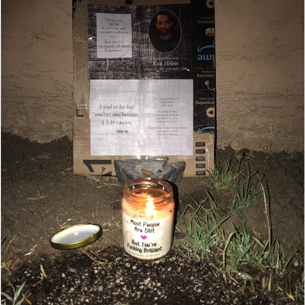 Recent likes bundled Host Picks 🥳 and New listings here - Picture 5 of 9